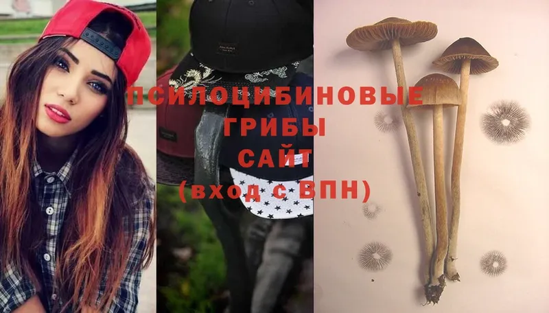 Псилоцибиновые грибы Magic Shrooms Чердынь